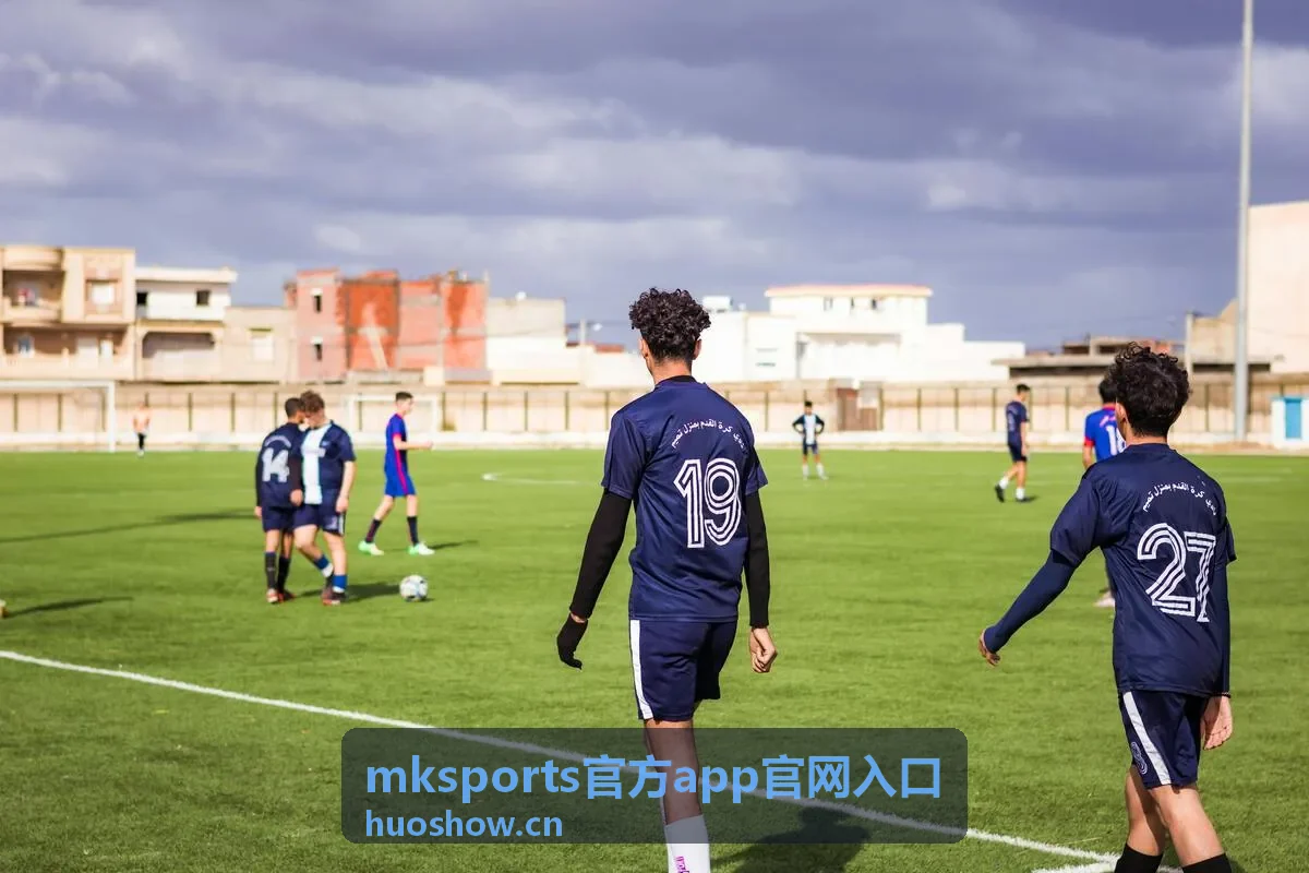 mksports官方app官网入口简介背景图片